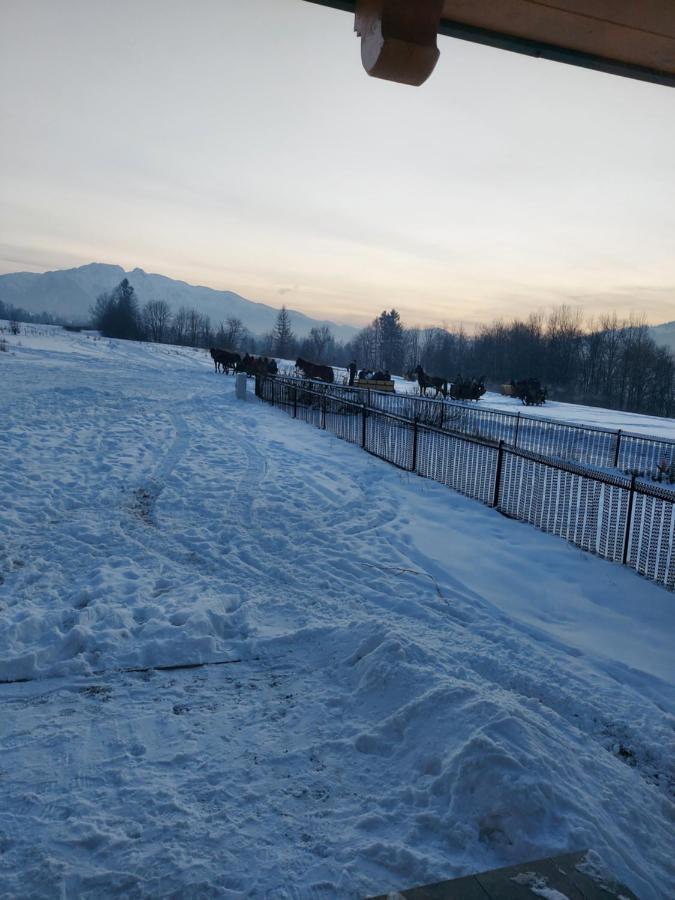 Domek Zakopane Tatrzanski Kacik Apartzakop 외부 사진